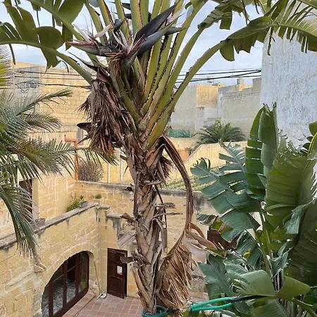 Haven * Gharb (Gozo)