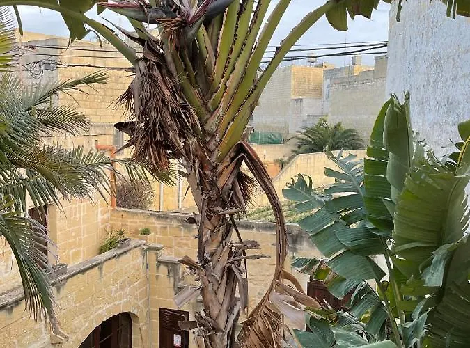 Haven 3* Gharb (Gozo)