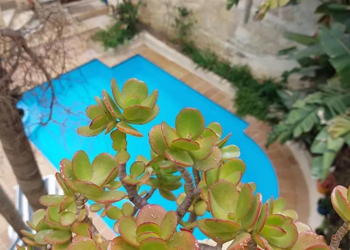 فندق مبيت وإفطار Haven